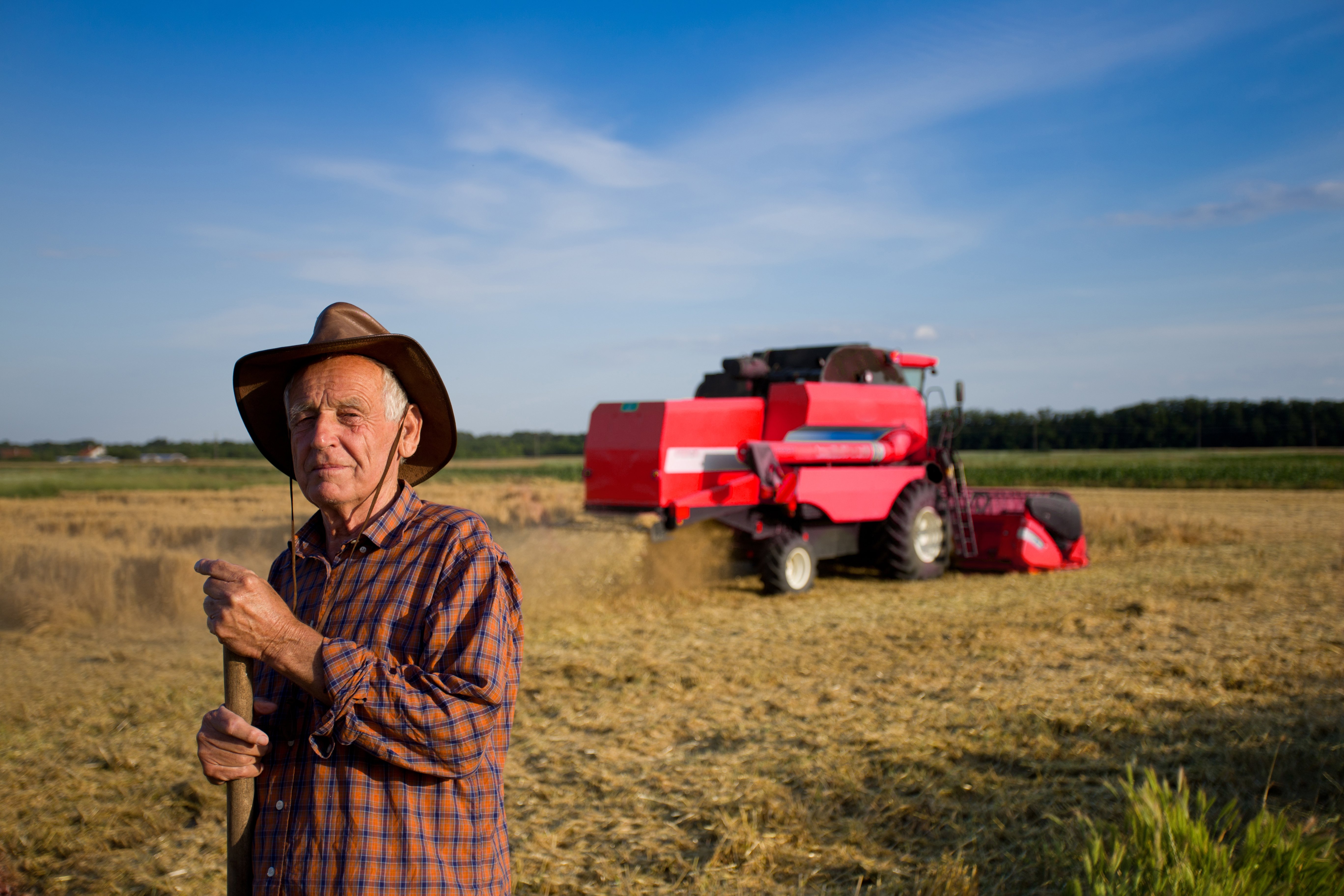 Farmland image representing foundational DST education
