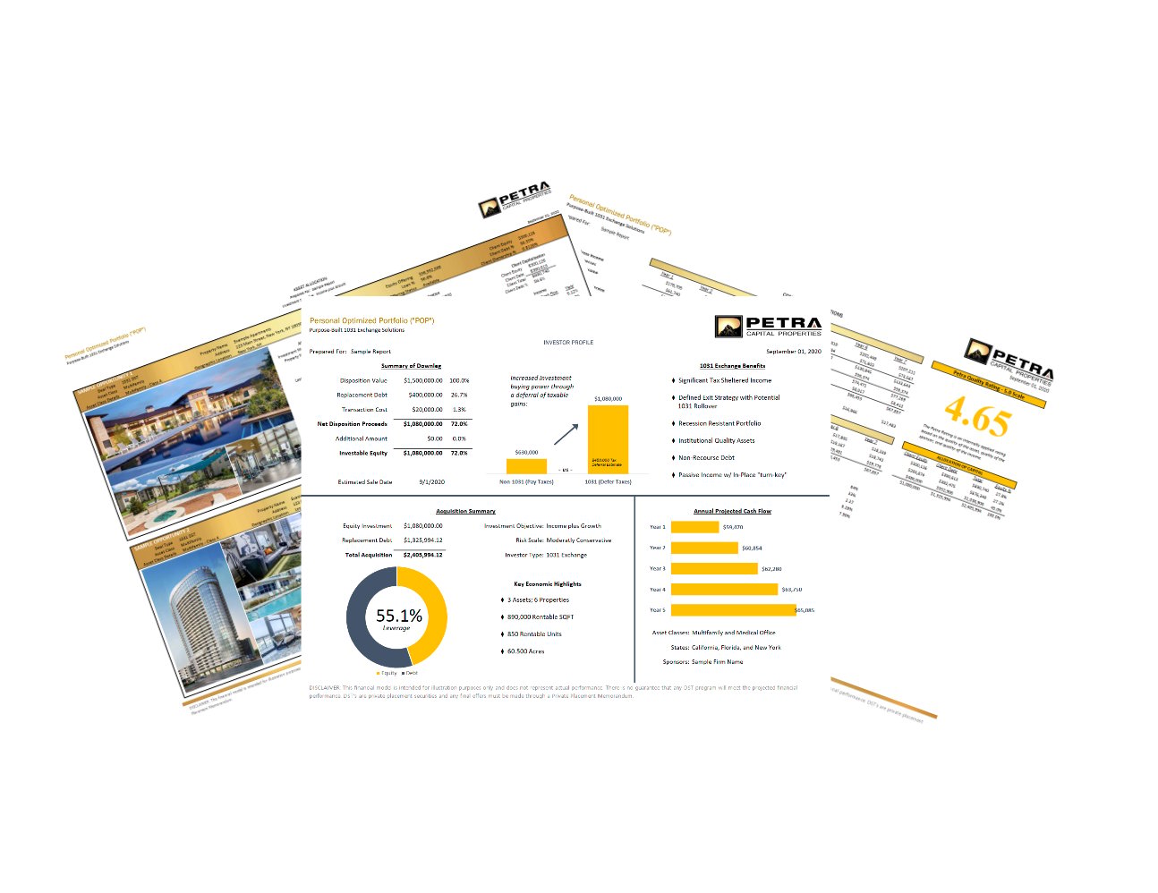 Illustrative POPP portfolio design graphic